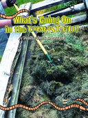 What's Going on in the Compost Pile? A Book About Systems cover