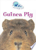 Guinea Pig cover