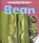 The Life Cycle of a Bean cover
