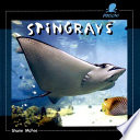 Stingrays cover