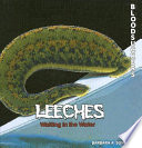 Leeches: Waiting in the Water cover