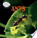 Ants cover