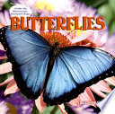 Butterflies cover