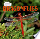 Dragonflies cover