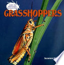 Grasshoppers cover