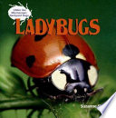 Ladybugs cover
