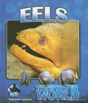 Eels cover
