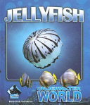 Jellyfish cover