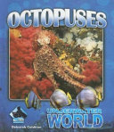 Octopuses cover