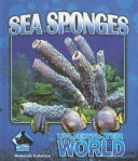 Sea Sponges cover