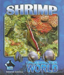 Shrimp cover