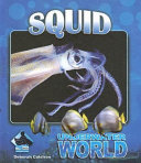 Squid cover