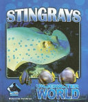 Stingrays cover