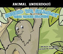 Speed up, Sammy the Tree Sloth! cover