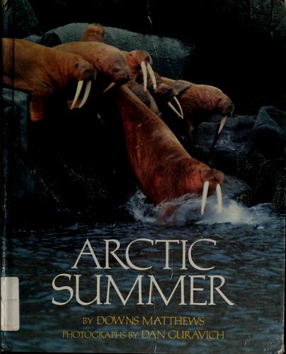 Arctic Summer cover
