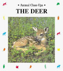 The Deer: Forest Friend cover