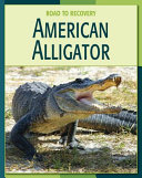 American Alligator cover