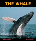 The Whale: Giant of the Ocean cover