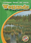 Wetlands cover