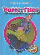 Butterflies cover