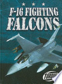F-16 Fighting Falcons cover