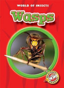 Wasps cover