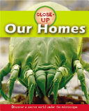 Insects (Brown Bear) cover