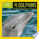 Face to Face with Dolphins cover