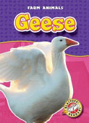 Geese cover