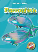 Parrotfish cover
