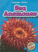 Sea Anemones cover