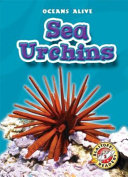 Sea Urchins cover