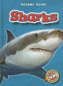 Sharks cover