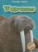 Walruses cover