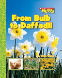 From Bulb to Daffodil cover