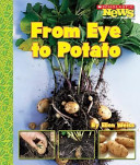 From Eye to Potato cover