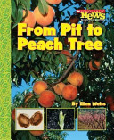 From Pit to Peach Tree cover