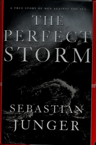 The Storm cover