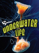 Underwater Life cover