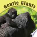 Gorillas cover
