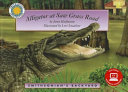 Alligator at Saw Grass Road cover