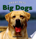 Big Dogs cover