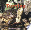 Turtles cover