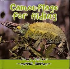 Camouflage for Hiding cover
