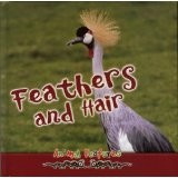 Feathers and Hair cover
