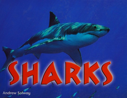 Sharks cover
