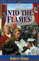 Into the Flames cover