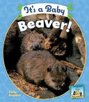 It's a Baby Beaver! cover