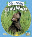 It's a Baby Gray Wolf! cover