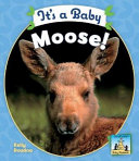 It's a Baby Moose! cover